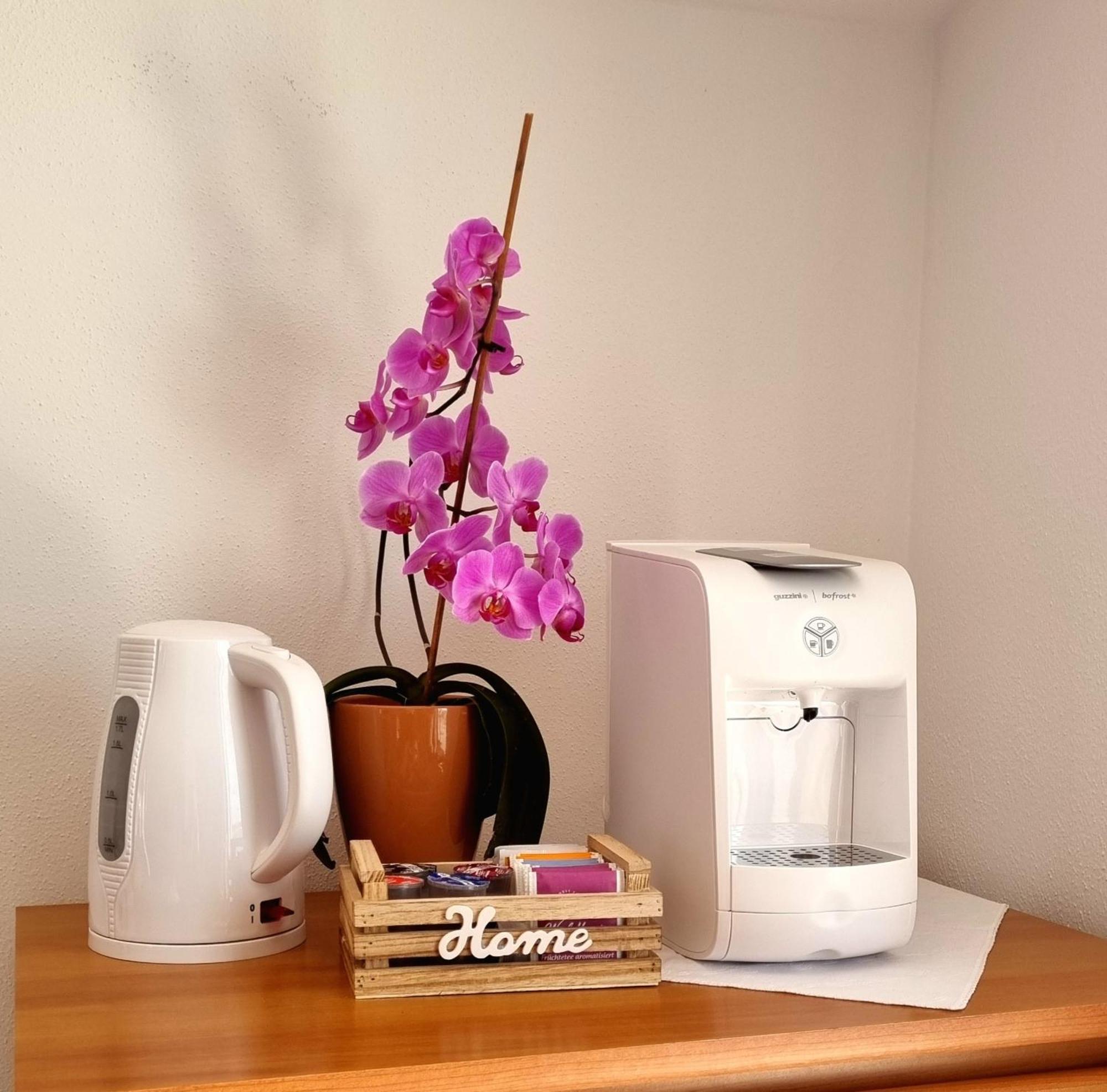 Apartma Katy Apartment Umag Ngoại thất bức ảnh